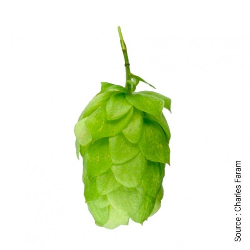 WAI-TI™ • BIO – Image 4