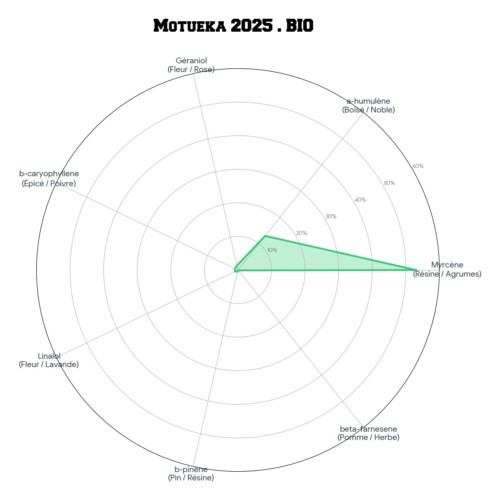 MOTUEKA™ • BIO – Image 6