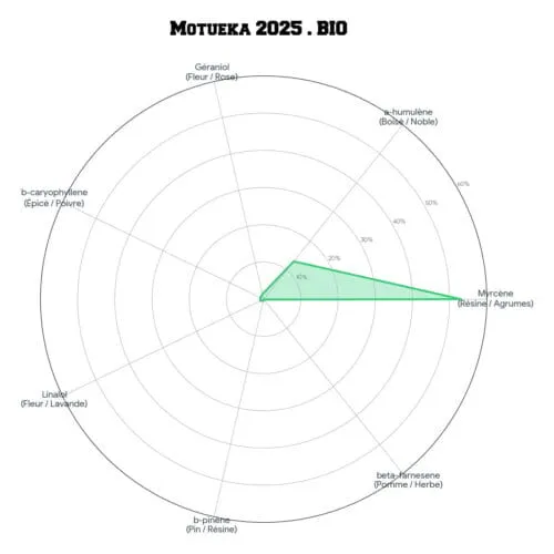 MOTUEKA™ • BIO – Image 6
