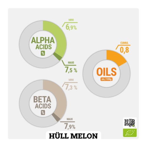 HÜLL MELON • BIO – Image 2