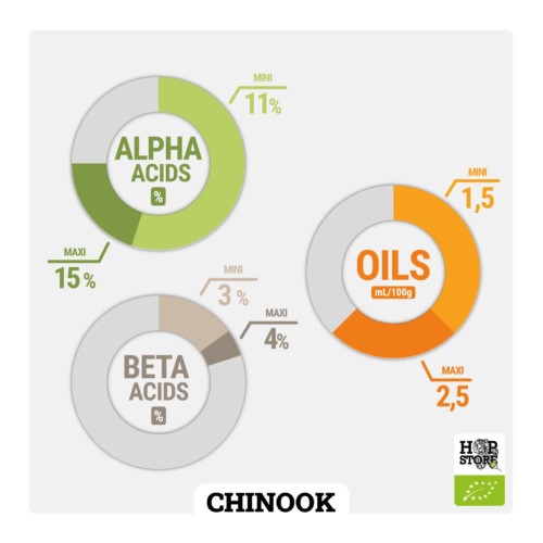 CHINOOK • BIO – Image 2