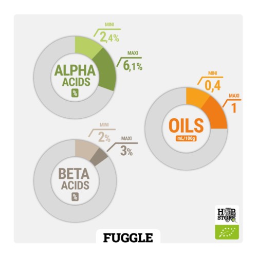 FUGGLE • BIO – Image 2