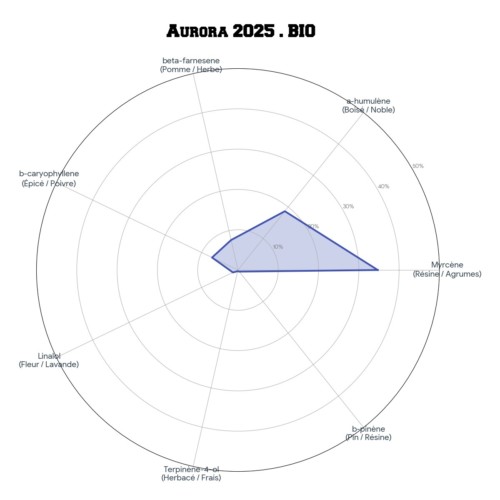 AURORA • BIO – Image 5