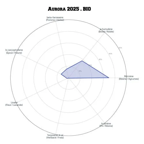 AURORA • BIO – Image 5