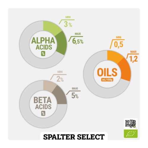 SPALTER SELECT • BIO – Image 2