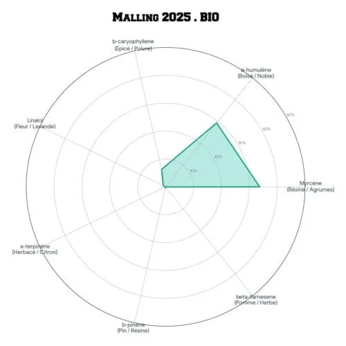 MALLING • BIO - Image 4