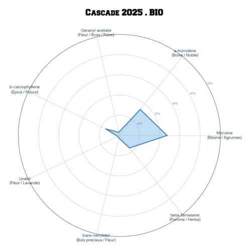 CASCADE • BIO – Image 4