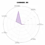 CASHMERE • BIO – Image 4