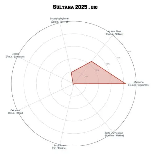 SULTANA™ • BIO – Image 4