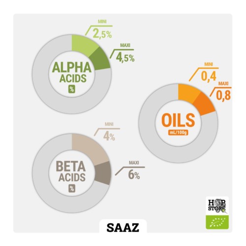 SAAZ • BIO – Image 2