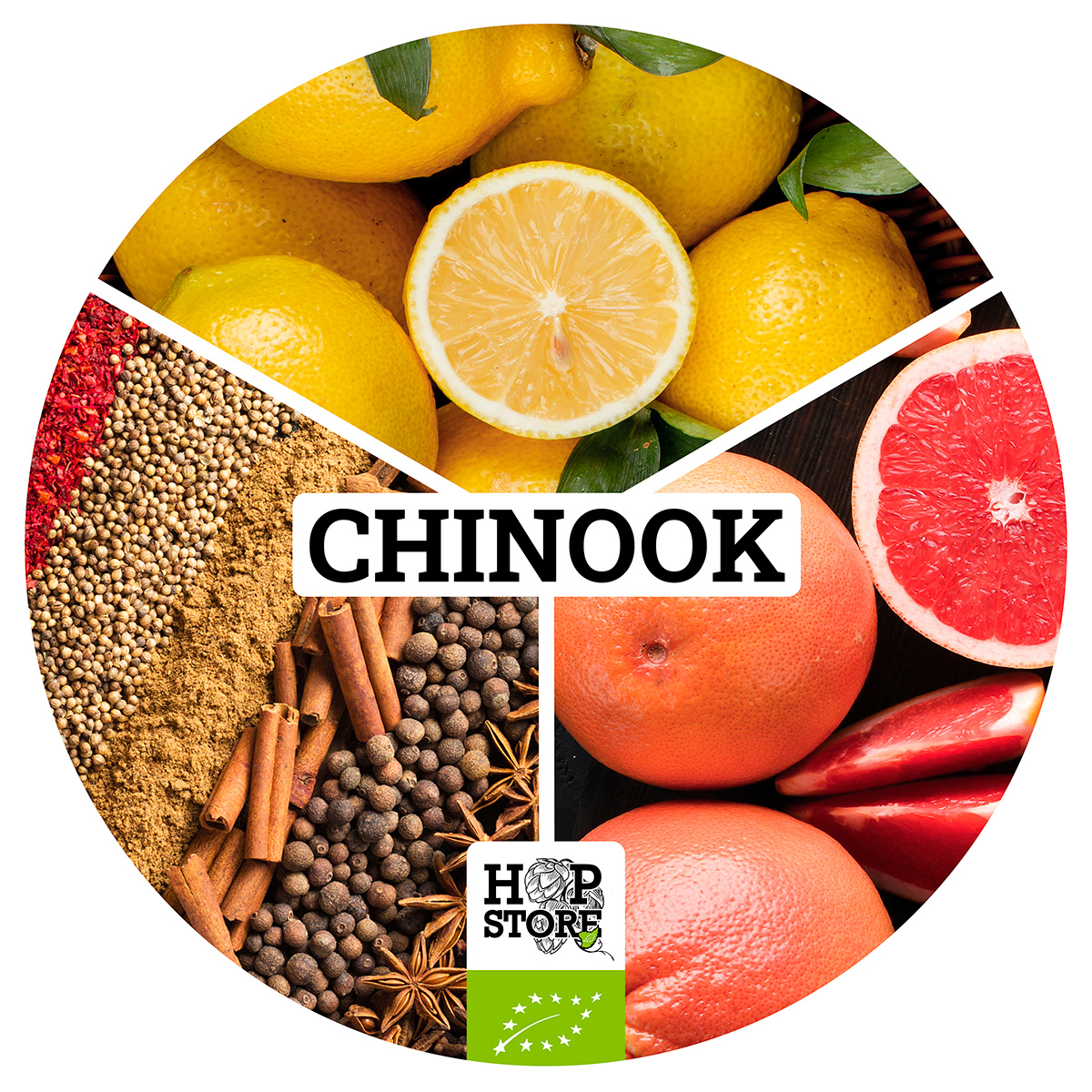 CHINOOK-QUAD-202210-V2 CHINOOK • BIO – Image 1