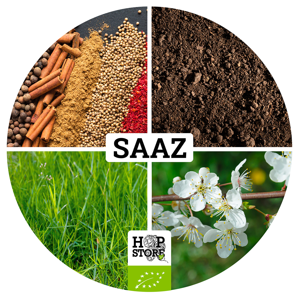 SAAZ2-QUAD-202231-V2 SAAZ • BIO – Image 1