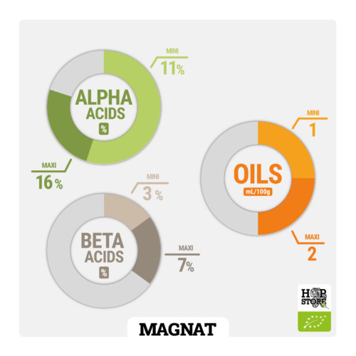 MAGNAT• BIO – Image 2
