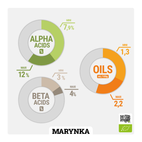 MARYNKA• BIO – Image 2