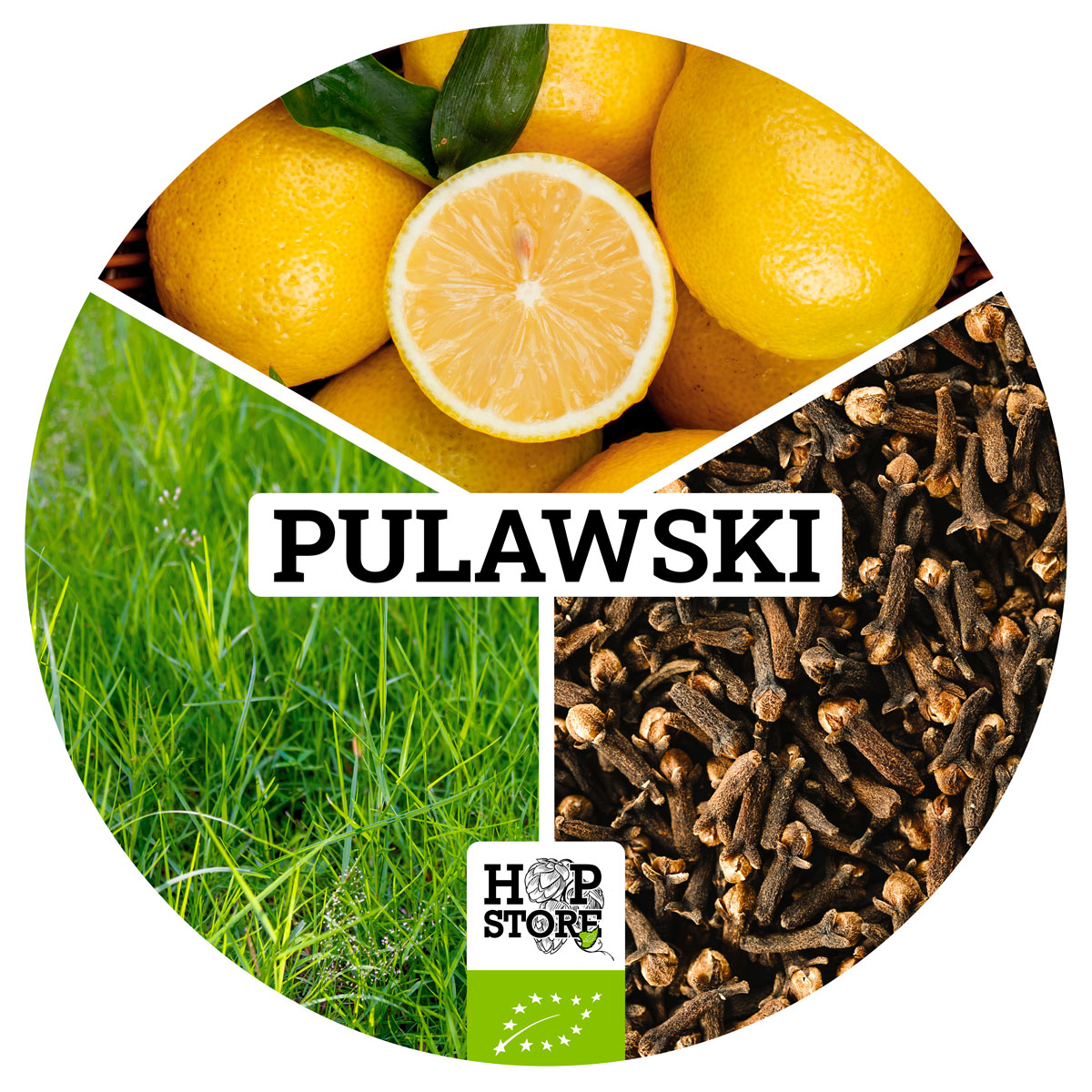 PULAWSKI-QUAD-2022_2 PULAWSKI • BIO – Image 1