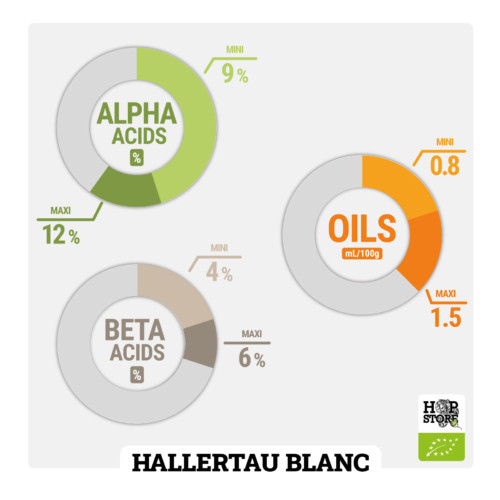 HALLERTAU BLANC • BIO – Image 2