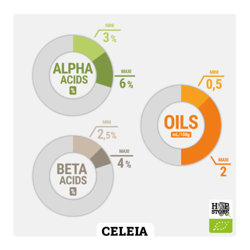 CELEIA / Styrian Golding • BIO – Image 2