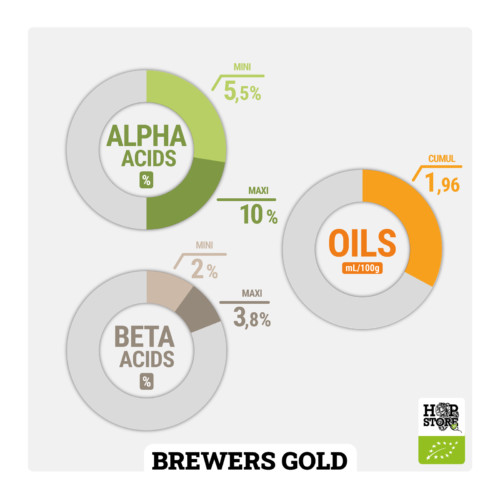 BREWERS GOLD • BIO – Image 2
