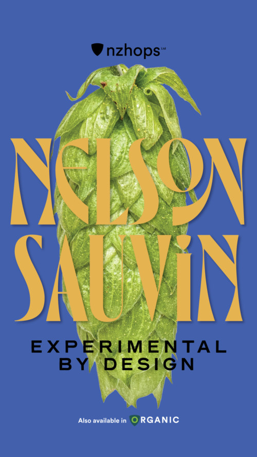 NELSON SAUVIN™ • BIO – Image 2
