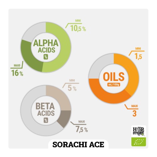 SORACHI ACE • BIO – Image 3