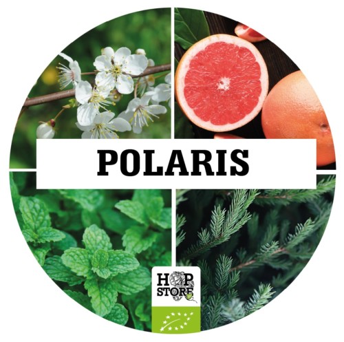 POLARIS BIO POLARIS • BIO – Image 1
