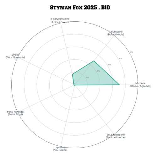 STYRIAN FOX • BIO – Image 3