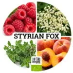 Styrian FOX • Bio